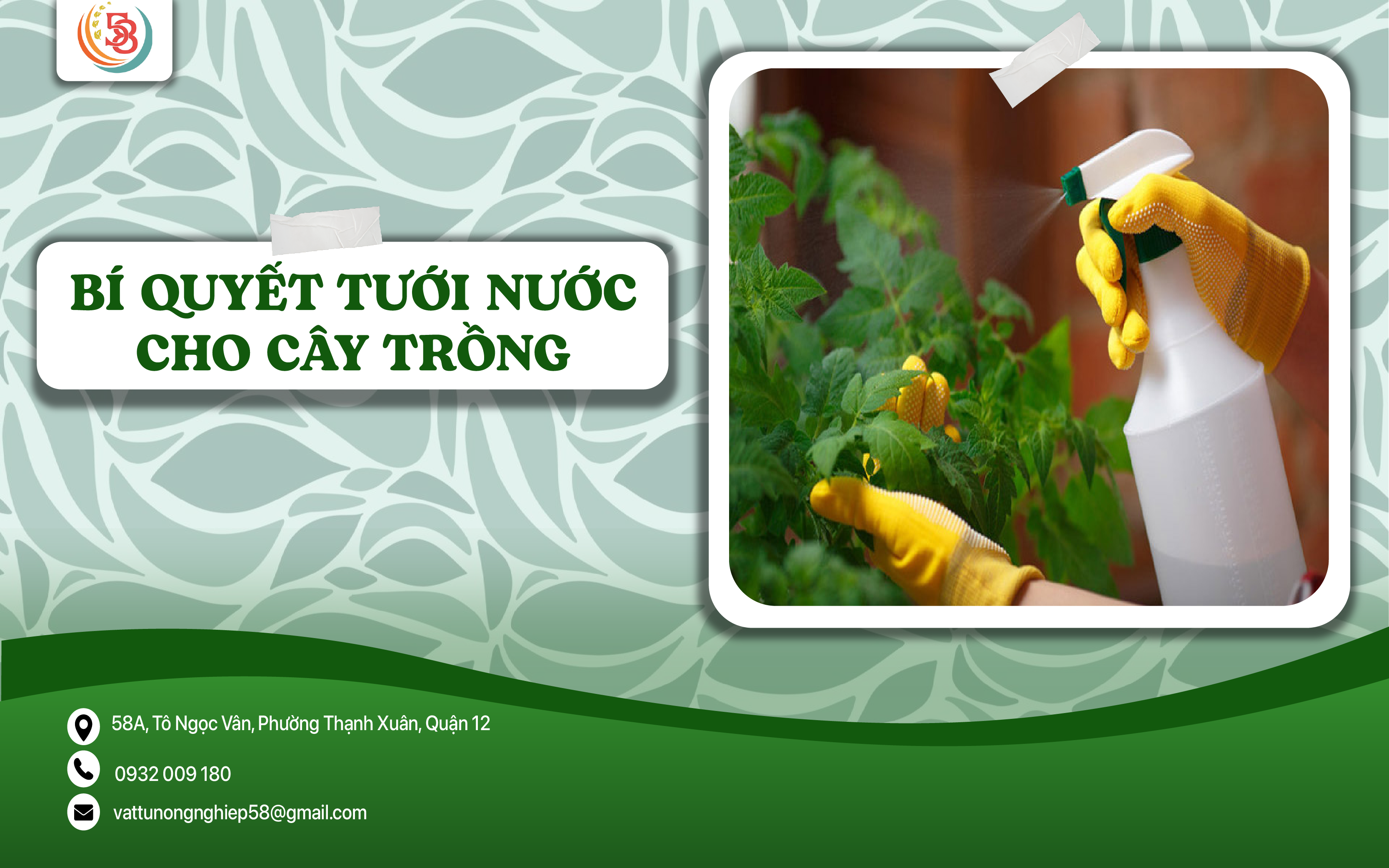 BÍ QUYẾT TƯỚI NƯỚC CHO CÂY TRỒNG